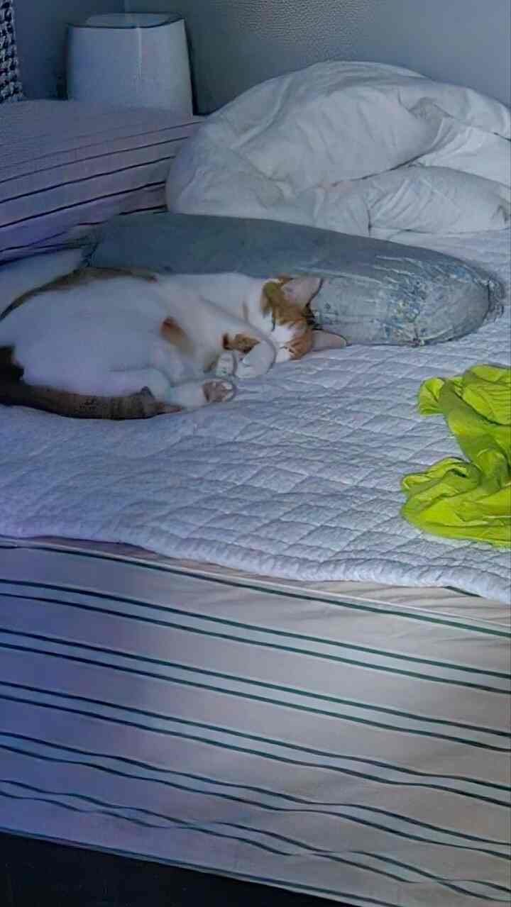 Vintage Mansion ボックスシーツ［4色・2サイズ］を使ったコーディネート 2