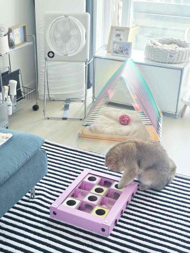 白を基調とした壁と扇風機があるモダンなリビング、ストライプラグの上にキャットトイとアクリルペットハウスが配置された空間