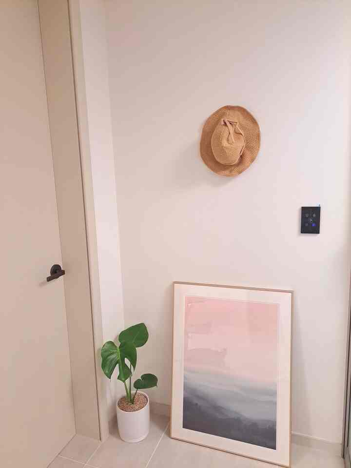 #미니집들이
#キャップ
#モンステリア
玄関前です。
額縁と鉢植えひとつでかっこいいですか？
帽子は最近暑くて暑いので、必ず使って外出しています。
玄関前に置くと保管も良く、インテリア小物としても素晴らしいです。