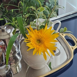 해바라기 🌻
#꽃테리어 #꽃 #화병 #화병꽃꽂이 #꽃멍 
#해바라기 #오늘장면한컷 