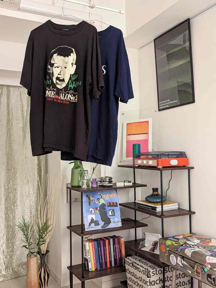 Cozy single household space featuring a dark wood tone rack with vintage record player, posters on the wall, and various vases arranged decoratively