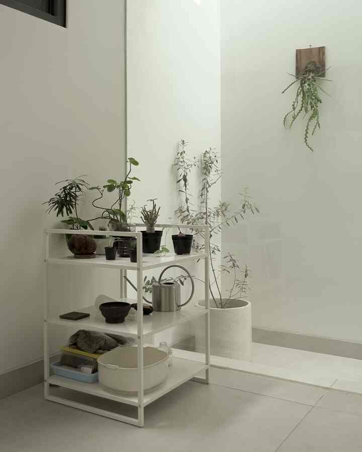 GREEN CORNER 🌿

Pojok hijau hijau dirumah kami dengan tanaman tanaman kecil favorit, bikin rumah terasa makin estetik dan adem 🌿

#IssetHouse #TanamanRumah #InspirasiRumah #Plants #rumahmodern #dekorasirumah