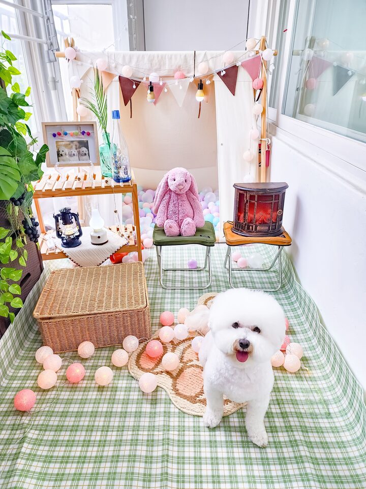 short form carousel card thumbnail