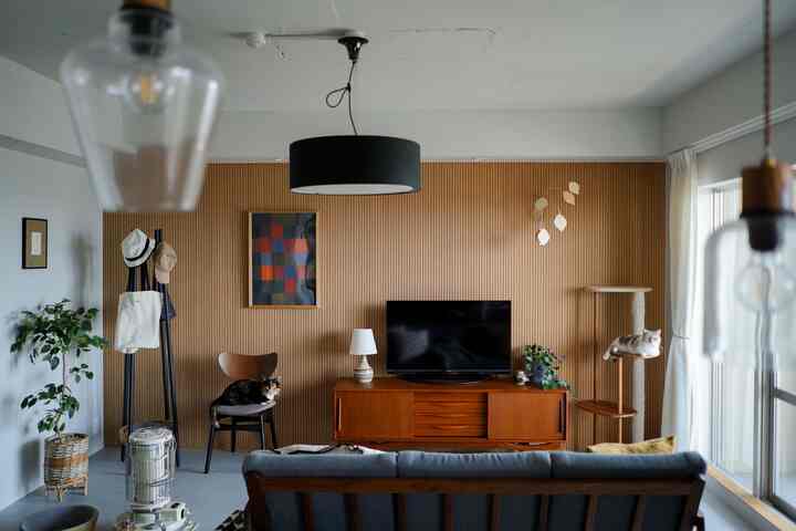 Natural wood-toned living room featuring two cats and a cat tower, creating a cozy atmosphere