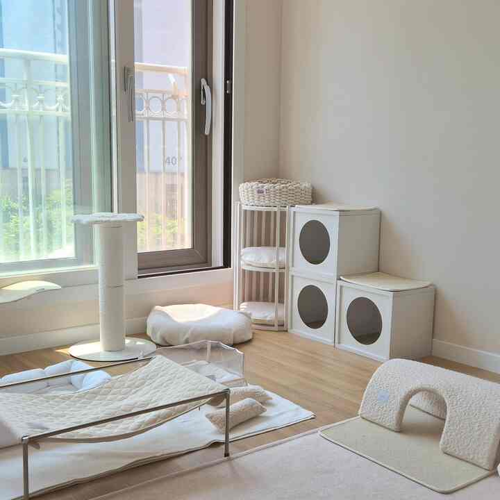 白い壁と木目調の床のリビングの一角、猫用のタワーや爪とぎなど猫グッズが配置された雰囲気のあるペット空間