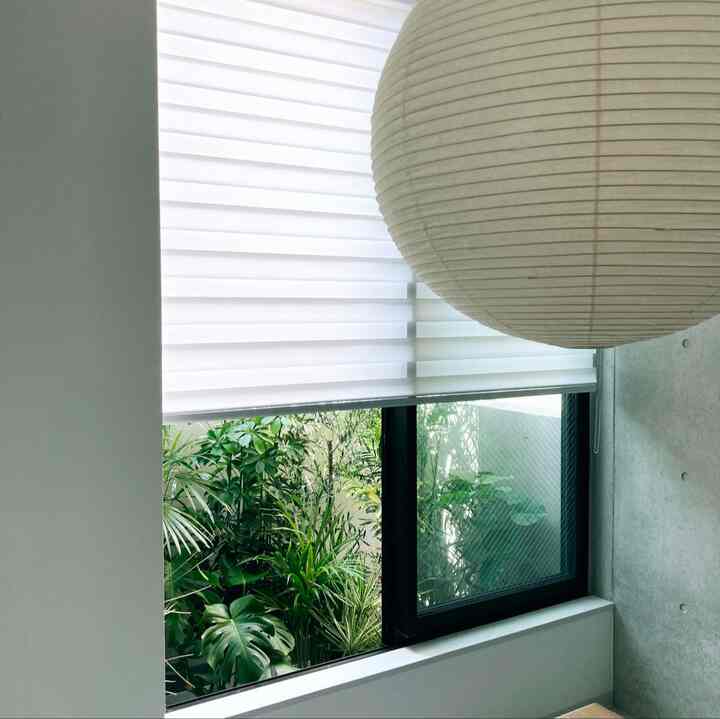 暑すぎてグリーンたちがバテないか心配。
育ってくれてるの嬉しいんだけど、
枝が伸びてベランダのサッシに乗っかって葉焼けしてしまう日も、、、

#ベランダガーデン
#グリーンのある生活
