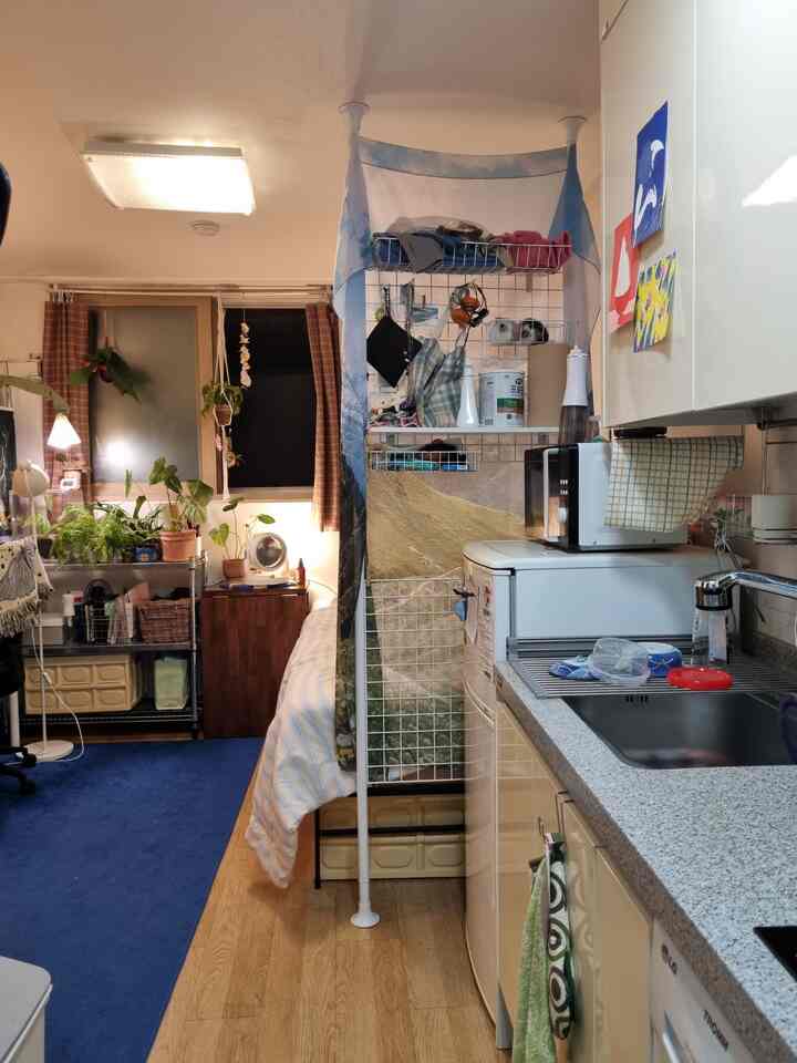 白い壁と青いカーペットの4坪ワンルーム、ベッドと多用途パーティション、キッチンが調和した落ち着いた空間