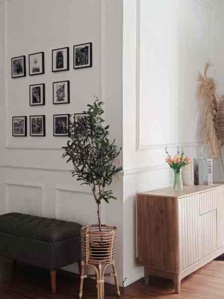 Natural color and wood tone entrance featuring picture frames and a plant with a simple and calm atmosphere