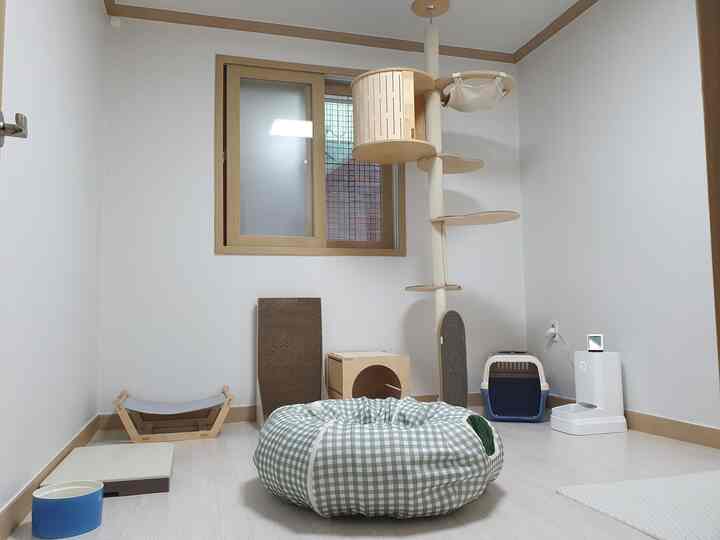 明るい木目調と白の小部屋にキャットタワー、隠れ家トンネル、猫トイレなどの猫用品が整頓されたペット専用の空間