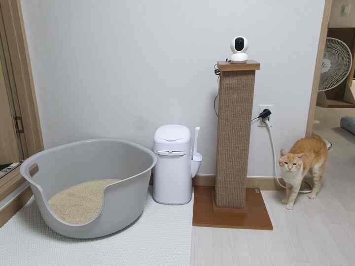白い壁と明るい木床の小さな空間、猫用トイレと柱型スクラッチャー、カメラ付きで猫がいる清潔なペットスペース