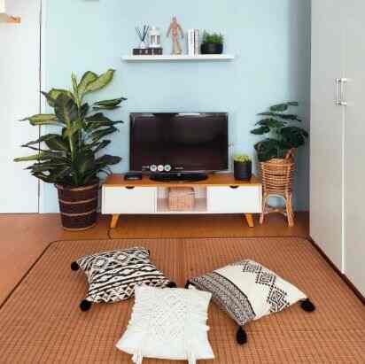Natural-toned bedroom featuring TV stand, rattan plants, and floor cushions creating a cozy atmosphere