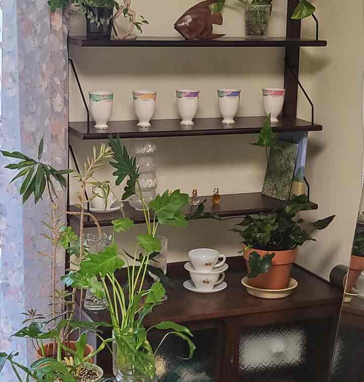 ナチュラルなブラウン色調の植物とオブジェが配置されたヴィンテージスタイルのリビングの一角