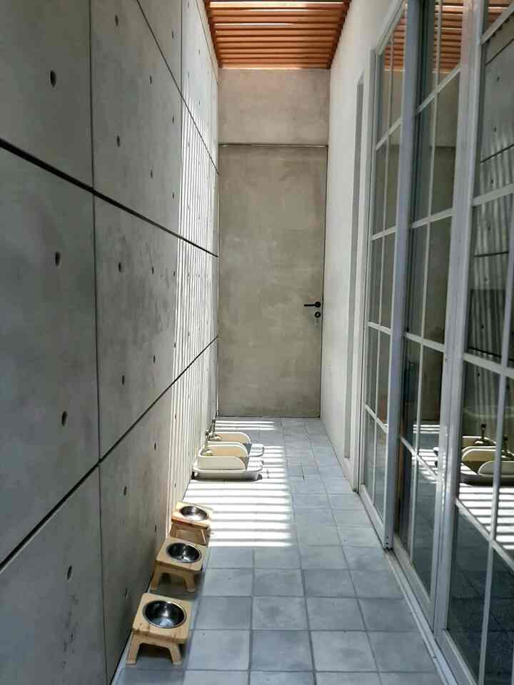 Bingung sebenarnya menyebut area ini namanya apa. Secara fungsi area ini adalah area selasar rumah, tempat pintu masuk yang bukan utama. Dulu dalam diskusi design rumah, area ini adalah jalur alternatif untuk masuk/keluar rumah tanpa melewati area inti rumah - prinsip keamanan ada 2 pintu keluar masuk. Juga memang jadi untuk mobilitas tukang gas, tukang galon atau tukang lainnya.

Selain skylight tempat sinar matahari masuk, selasar ini terbuka langsung ke udara bebas, jadi juga jalur sirkulasi udara ke dalam area inti rumah.

Alhamdulillah, sekarang area ini merangkap menjadi bagian basecamp anabul. Jadi bukan sudut mati, selalu ada kehidupan, ntah anabul kejar2an, atau babunya yang bolak balik isi makanan atau nyekop hadiah di pasir 😅

#InspirasiRuangBermainKucing #CatPlayground #IndoorOutdoor #TembokSemenExpose #SkyLight #InspirasiSkylight #RuangBermainKucing
