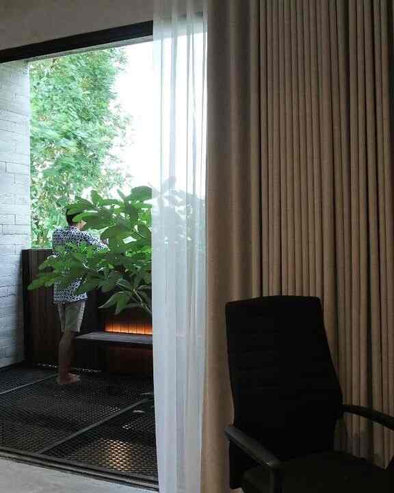 Charcoal and beige-toned living room window area featuring curtains and plants creating a relaxed atmosphere