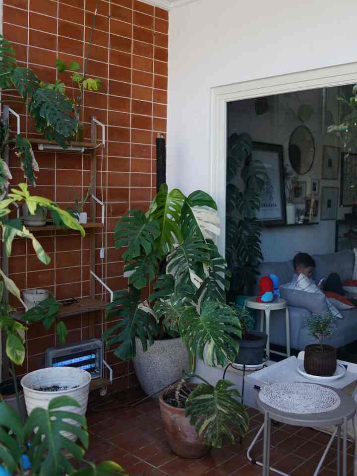 Salah satu aktivitas favorit aku ya berkebun
bisa jadi alternatif healing dihari libur 
#terasrumah #berkebun #ruanganfavorit #suduthijau #areahijaurumah
