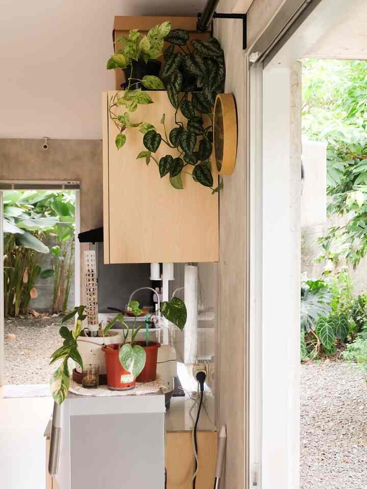 PoV lain dari dapur segaris. Yang di tengah-tengah antara halaman dan rumah. Dibuat terbuka agar kalau cuci piring mata ikutan segar karena lihat yang segar. Jadi nya ga pakai ngedumel kalau masak dan cuci2 🤪 #KabinetHPL
#DapurMinimalis #DapurSegaris #DapurSimple #MakeOverDapur #StylingDapur