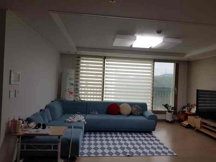 青いソファと青白のパターン柄ラグがあるリビング、シンプルモダンな雰囲気