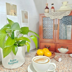 #가을애우리집
☕🍊가을은 왠지 카푸치노가 생각나는데요. 
주말 오후 시나몬 향 가득 카푸치노 한 잔에 새콤달콤 가을 귤 어떠세요^^ 
주방한켠에 자리가 조금 나서 미니장식장을 놓았는데... 
참 어울리지 않는 느낌😅😅  도통 어떻게 꾸며야 할지 감이 전혀 안 오지만...🤔😔
오늘은 장식장 놓아본 김에 무럭무럭 잘 자라는 스킨이도 데려다 놓고 커피 한 잔 만들어 봤네요. 
거실 깊숙이 들어오는 따뜻한 가을 햇살 받으며 부드러운 카푸치노 한잔 즐겨 봅니다~~🤎
#콘수프기록 #오늘장면한컷 #집에서제일바빠 #오늘의가든 #카푸치노 #시라쿠스 #시라쿠스커피잔 #시라쿠스카푸치노잔 #커피잔 #예쁜커피잔 #미니장식장 #주방꾸미기 #주방인테리어 #거실인테리어 #거실꾸미기 #홈카페 #홈카페존
#맞팔해요🤎 #맞팔