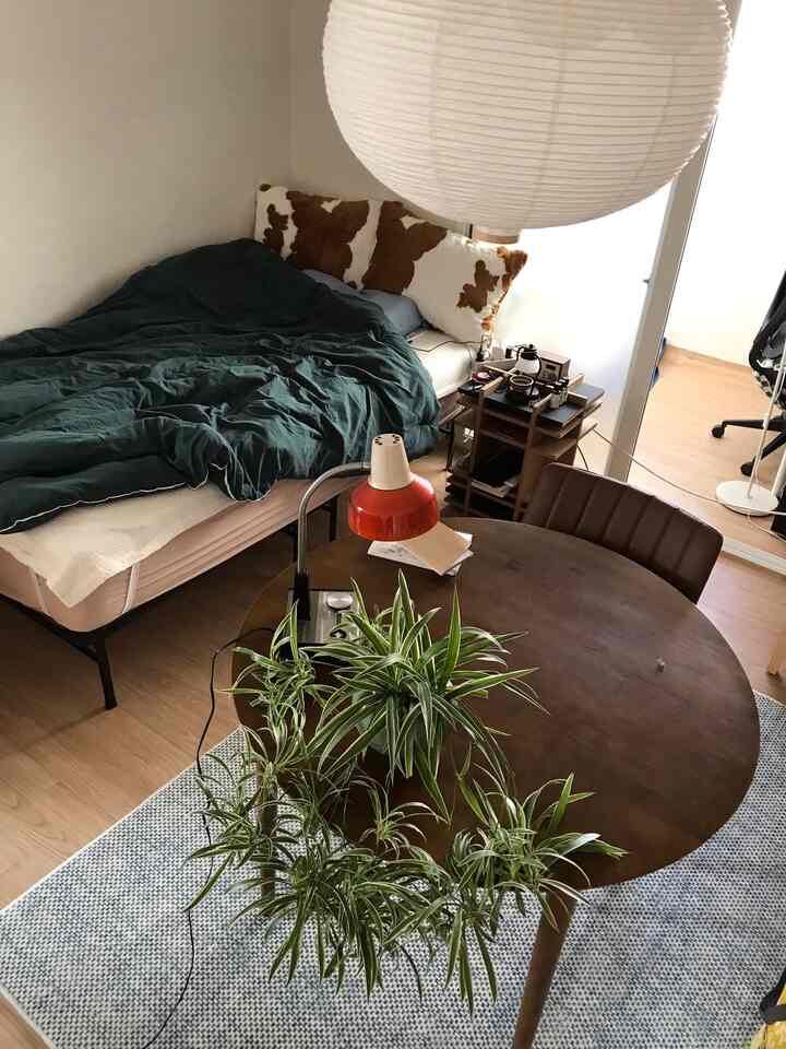 Natural toned studio bedroom featuring a wooden round dining table with green plants, creating a peaceful atmosphere