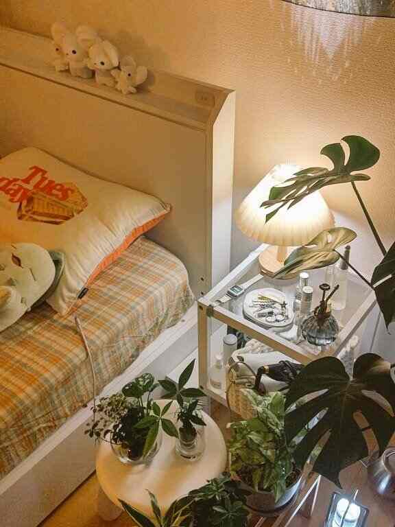 Cozy orange and white-toned bedroom featuring a bed, lit table lamp on nightstand, and multiple leafy green plants creating a warm atmosphere