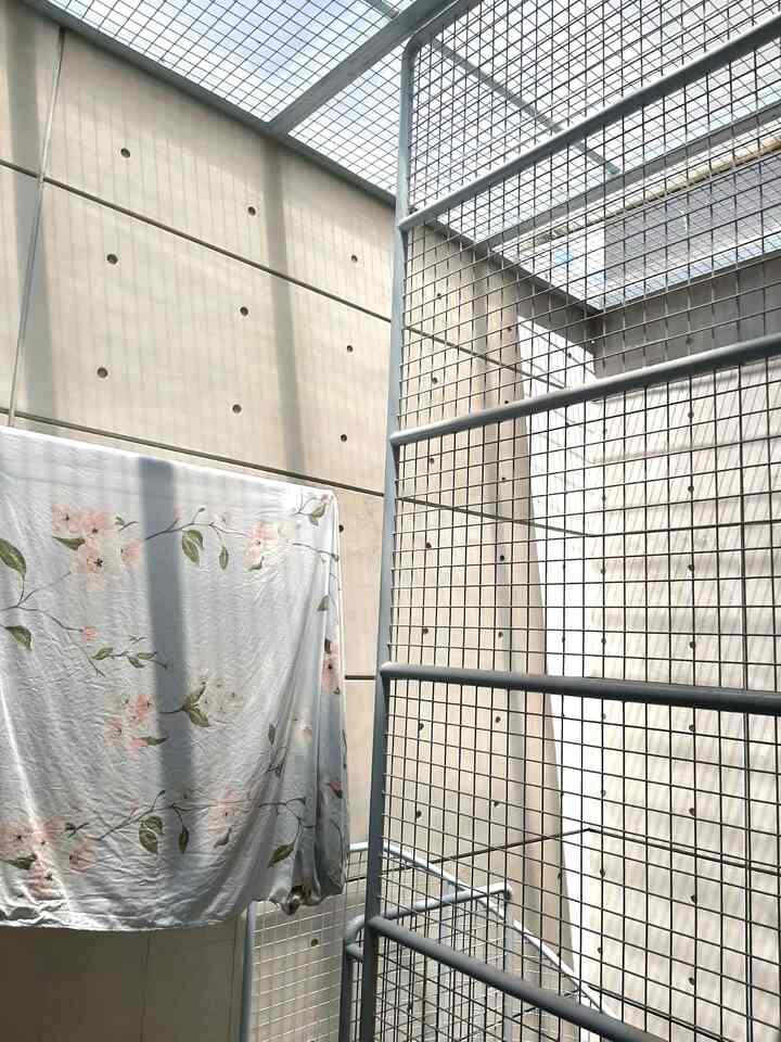 Laundry room yang merangkap tempat tidur anak bulu,  namanya juga rumah mungil ya, semua area harus berfungsi 🤭

Kamar anak bulu dulunya di desain untuk kamar ART, setelah rumah jadi kami berfikir buat apa pakai ART menginap toh cuma berdua, jadilah rejeki anak bulu punya kamar atau area punya mereka. Jadi kalau kami manusia nya lagi jemur pakaian terasa bener suasana bertamu 🤣

Karena ini area jemur juga, maka area ini punya bukaan sirkulasi udara dan juga atap transparan untuk sinar matahari masuk.

#inspirasirumah #laundryroom #catplayroom #ruangbermainkucing #semenekspos #temboksemenekspos #kamarkucing