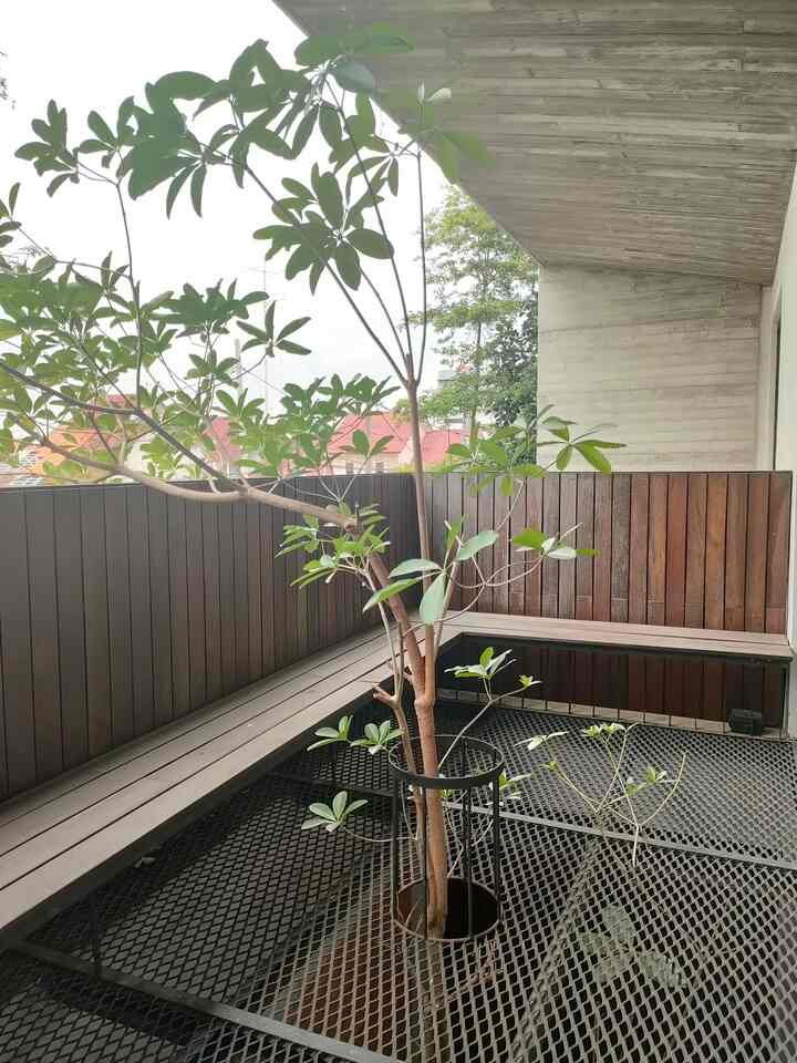 Balkon dirumah kami selain berfungsi sebagai teras luar,juga berfungsi sebagai sumber cahaya dan sirkulasi udara.Itulah kenapa lantai balkon,dibuat dari jaring besi baja yang tembus ke lantai 1. Bagi yang takut ketinggian biasanya agak-agak merinding.
Pohon pule dari lantai 1 kami biarkan tumbuh tembus menuju balkon,dimana pohon ini sangat cepat tumbuh ketika menemukan sinar matahari.

#MiniHouseTour #CeritaRumahKu #balkon #rumahindustrial #sinarmatahari #temboksemen #kayuulin #Pohonpule #ruangbelajar #lantaisemen