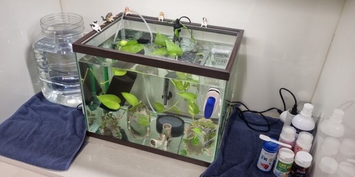 short form carousel card thumbnail