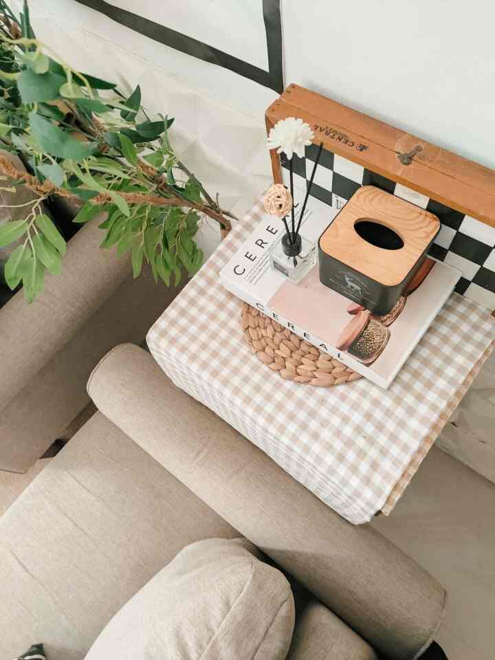 Natural tone living room featuring beige sofa, wood-tone tissue box, and checkered placemat on table with simple decor