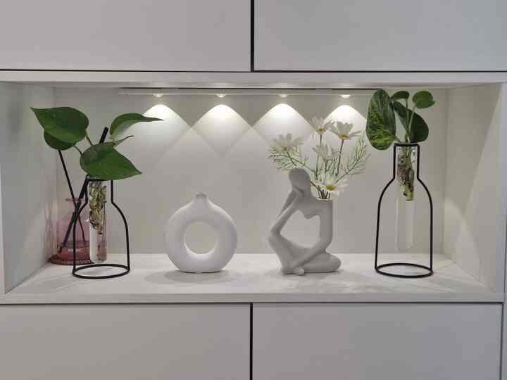 White-toned entrance niche featuring donut ring and thinker objet centrally placed with natural green plants, creating a stylish and calming interior