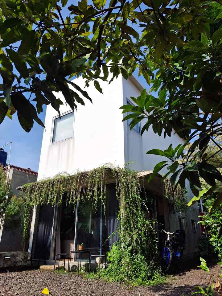 Di daerah rumah aku, jarang banget ada ruang terbuka/taman umum. Makanya ketika membangun rumah, aku pengen banget punya rumah yang ada halamannya. Rumah nya kecil gapapa, yang penting punya halaman. Biar bisa main kebun-kebunan di rumah. Sekarang musim hujan, alhasil tanaman-tanaman di rumah tumbuh subur. Terus karena belum sempat beberes taman, jadinya kayak camping tapi di dalam bangunan hoho. 
#DindingKaca #TanamanRambat #LeeKuanYu #InspirasiFasad #StyleFasad