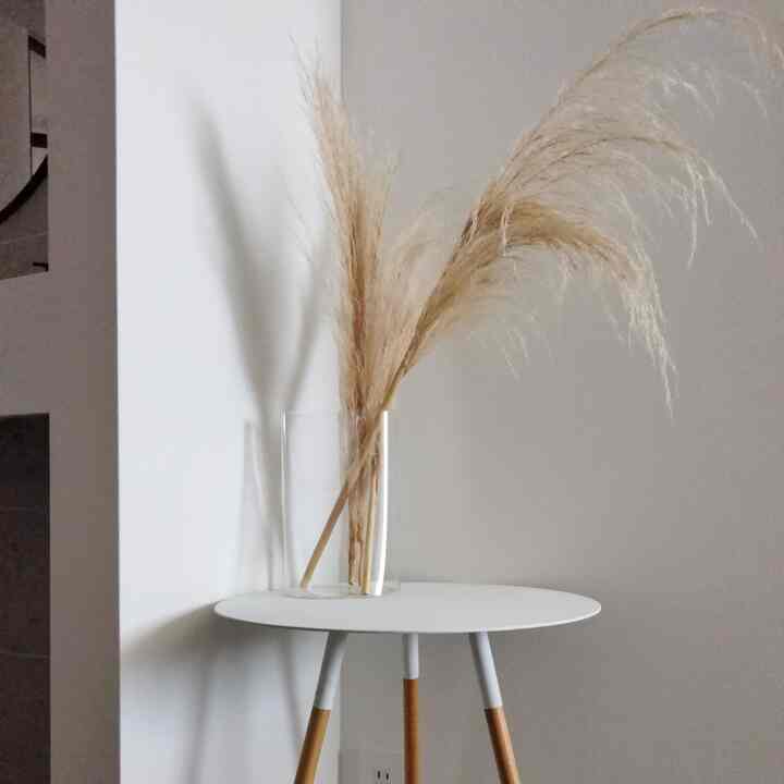 真っ暗だった玄関がリノベで光が入るようになりました☀
#玄関 #犬との暮らし