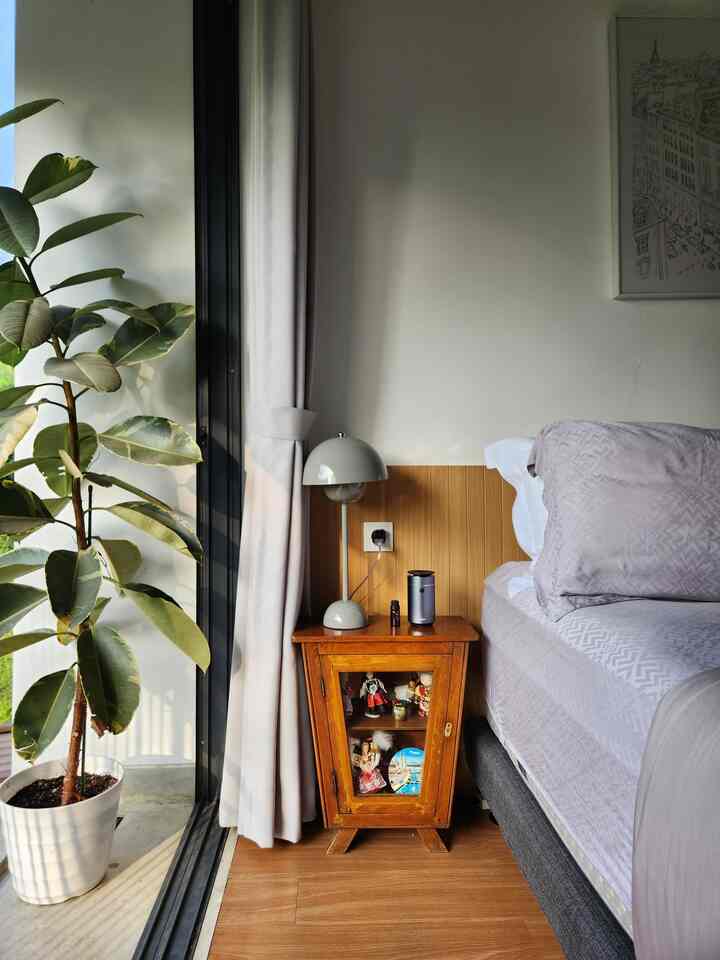 Arah matahari di rumah kami mulai berubah, nih! Sekarang bagian rumah belakang yang menghadap selatan mulai kebagian sinar matahari pagi. Dapur dan kamar utama, yang jendelanya menghadap ke backyard, jadi kena cahaya pagi yang lembut.

Rumah kami sebenarnya menghadap utara, tapi karena kiri-kanan sudah dihimpit tetangga, matahari yang berhasil "nyelip" masuk ke rumah jadi sesuatu yang bikin bahagia banget. Rasanya rumah jadi lebih hangat dan suasananya makin syahdu.

#mataharipagi #compacthappyhome #bedroom #kitchen #morningsun