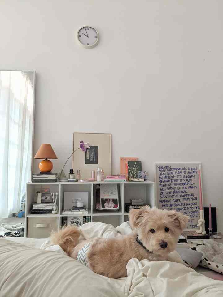 aku orangnya gatelan banget kalo urusan ubah-ubah dekorasi rumah, kadang tiba-tiba malem-malem rasanya pengen mindah posisi furniture😂 tapi belakangan ini aku nemu trik biar bisa dapet suasana baru tanpa harus mindah furniture yaitu dengan pindah-pindahin posisi art print di ruangan!😍 Contohnya di bedroom aku ini, art print yang tadinya ada di bedside table aku pindah ke lantai dan langsung bikin komposisi ruangan jadi beda banget. Bisa juga ganti art print di frame dengan warna berbeda atau ukuran berbeda, langsung berasa banget nuansa barunya🤩 Jadi gak perlu repot-repot tarik-tarik furniture besar lagi kalau pengen suasana baru🤣
#bedroom #eclecticbedroom #artprint #artframe #stylingtips #minimalistbedroom #roomlayout