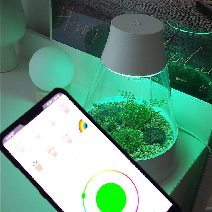 short form carousel card thumbnail