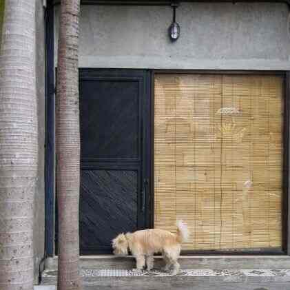 Pintu ganteng di #RumahAngsoka terbuat dari besi holow dan kayu kalsiplang yang di cat warna hitam. Material sangat mudah dan bisa menekan budget. 

Solusi pengganti roller blind dirumah yang banyak kaca, kami memakai kere/tirai bambu dengan vitrase gorden yang menambah kesan estetik. 



#TiraiBambu #KereBambu #KeramikMozaik #KeramikKayu #Vitrase #RumahIndustrial #PintuKalsiplang #PintuHitam #KeranjangRotan #LampuKapal #KipasAnginPlafon #MaterialRenovasi #MaterialMurah