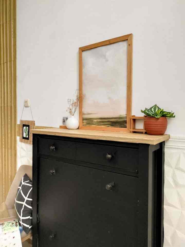 Bright entrance space featuring a black cabinet topped with wood-framed painting and potted plant
