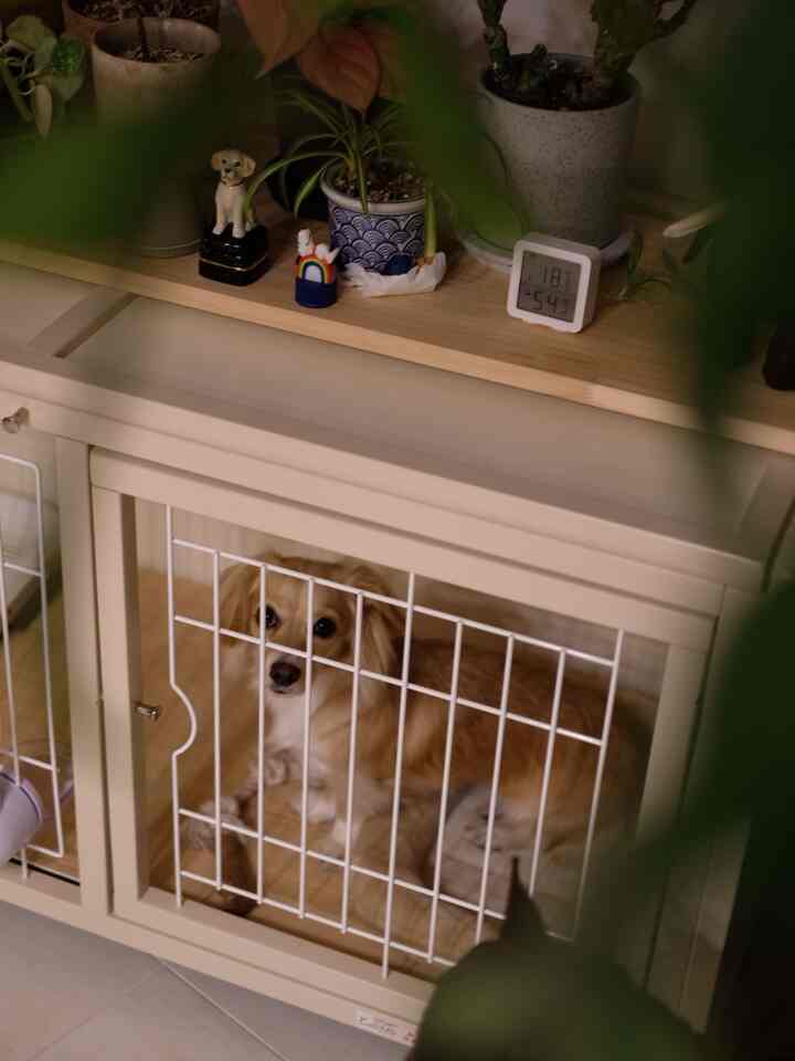 ナチュラルカラーの室内空間、ハウス型ケージにいる犬が配置された雰囲気のあるペットスペース