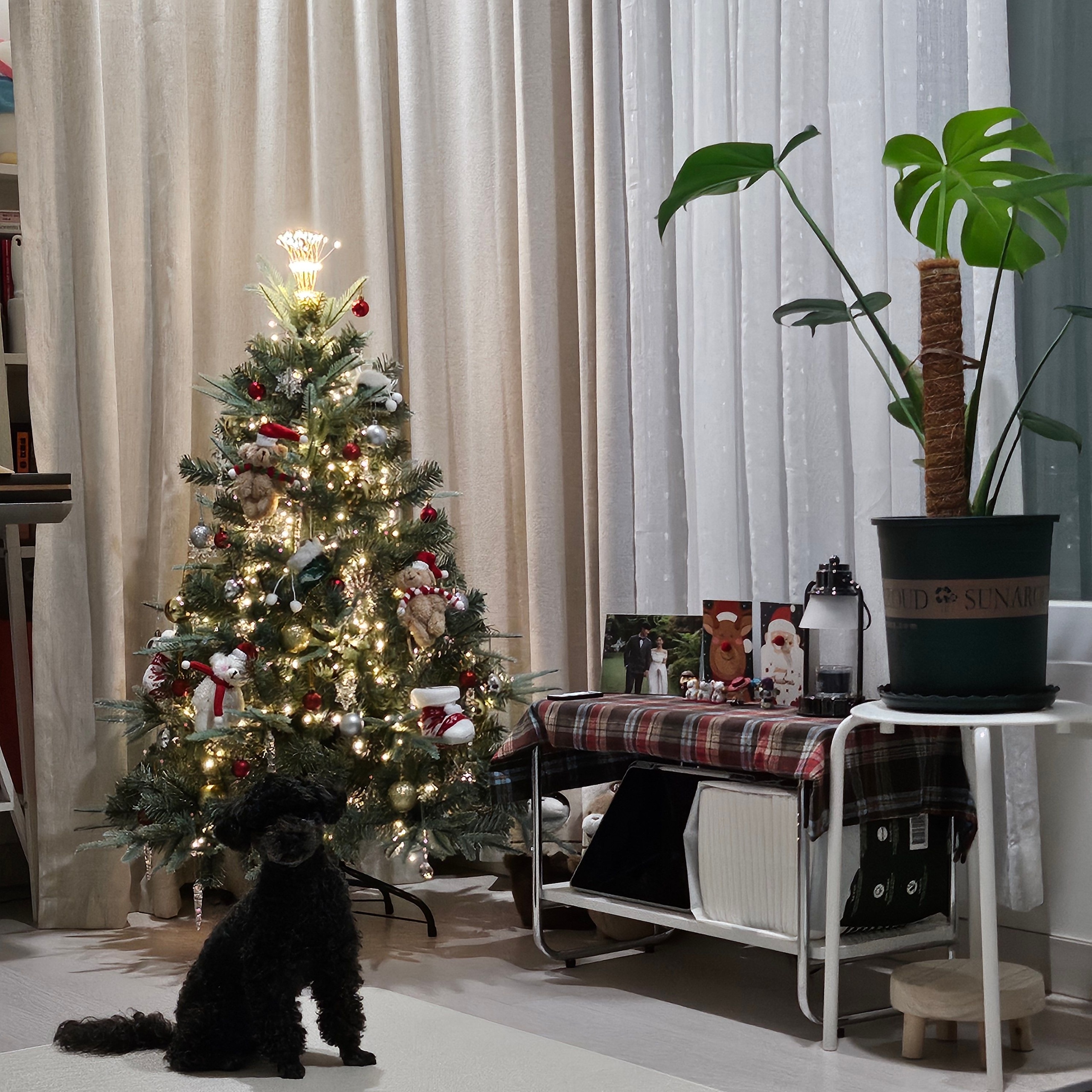 Mid-Century Wood & Chrome Shelf user photo