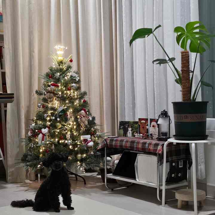 ホワイトとベージュの色調のリビング、クリスマスツリーとチェック柄のテーブルクロスが敷かれたテーブル、黒いペット犬がいる温かみのあるホームパーティーのあるインテリア