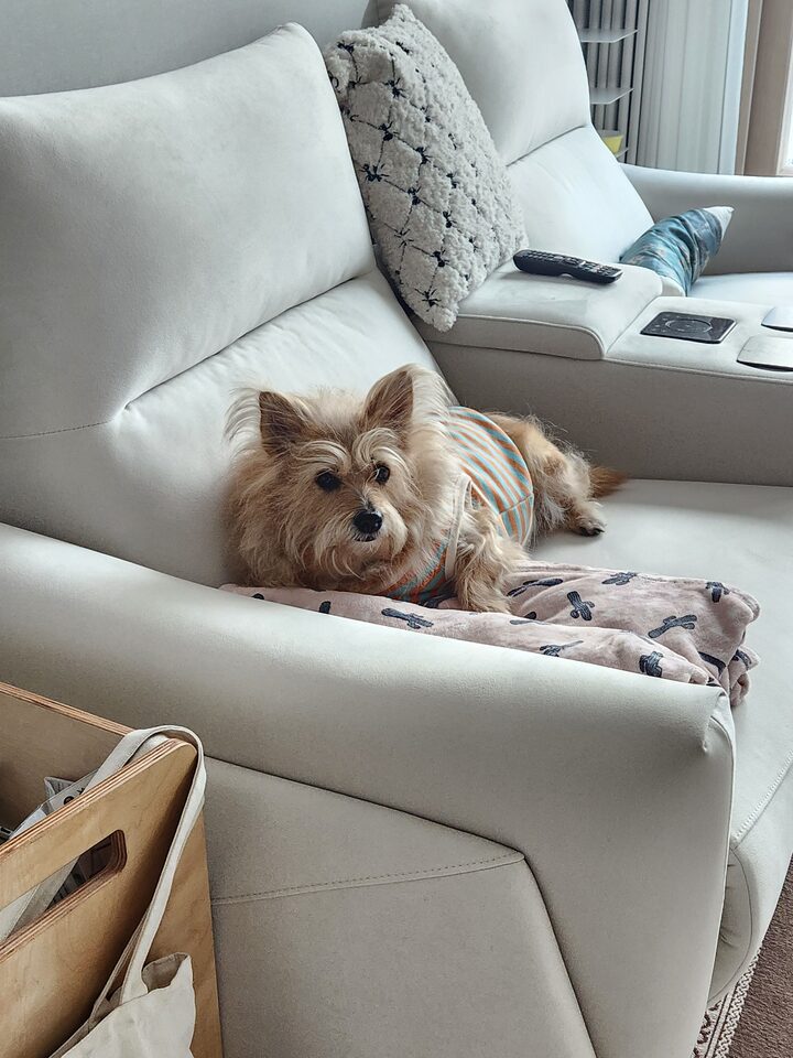 short form carousel card thumbnail