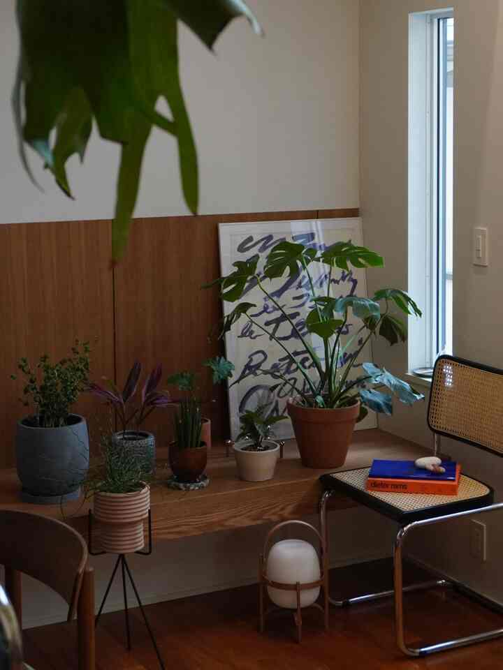 壁付けで造作したダイニングベンチは
飾り棚の機能も兼ねて作りました。

観葉植物のポットたちは
池袋のルスルスさんで買うことが多いです🌿

#鉢カバー #観葉植物 #インドアグリーン