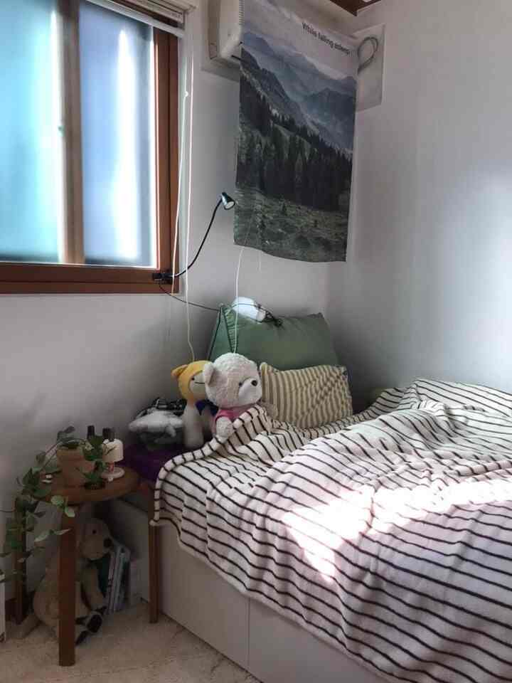 明るい自然光が差し込む6坪のワンルーム寝室、木目調のスツールと植物、クッションとストライプのブランケットが居心地の良いナチュラルな雰囲気を演出するインテリア