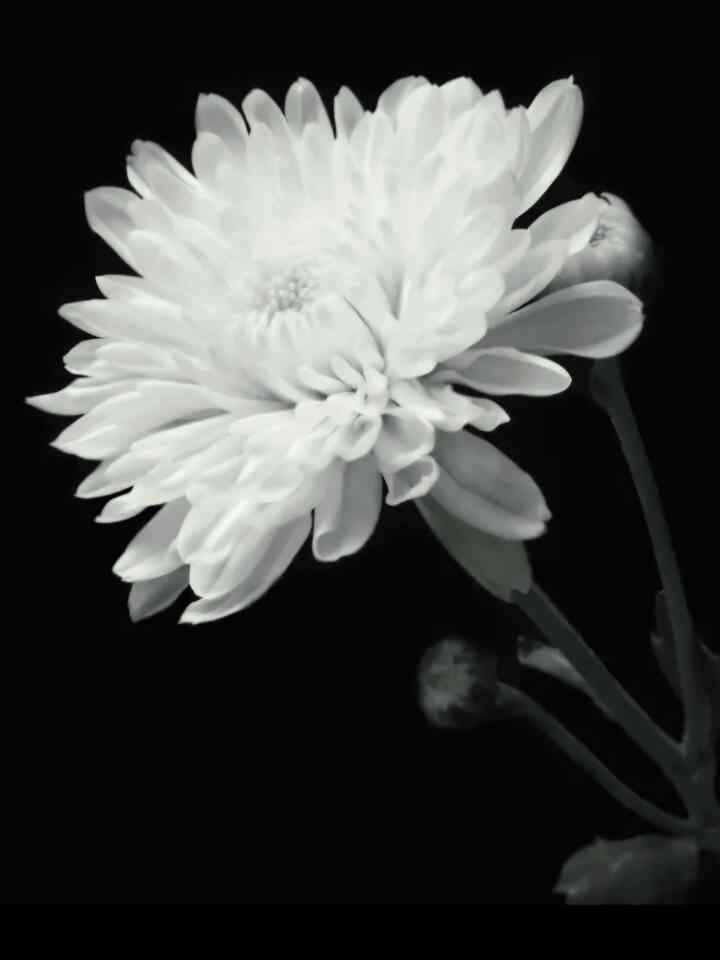 오유우나さんのインテリア実例写真