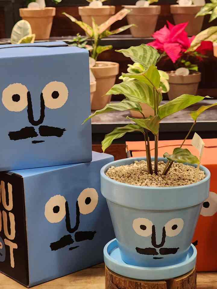 ＃草屋内庭園＃植物の学生
。
。
ユニークなチャン・ジュリアンの作品がいっぱいです💙
アジア初の植物園展示ですよ！ 
。
。
。
＃安山＃見どころ＃今日の庭園＃コンスプ記録
＃ジャンジュリアン＃展示会＃小道具いっぱい＃小道具ショップツアー 
#ユニス