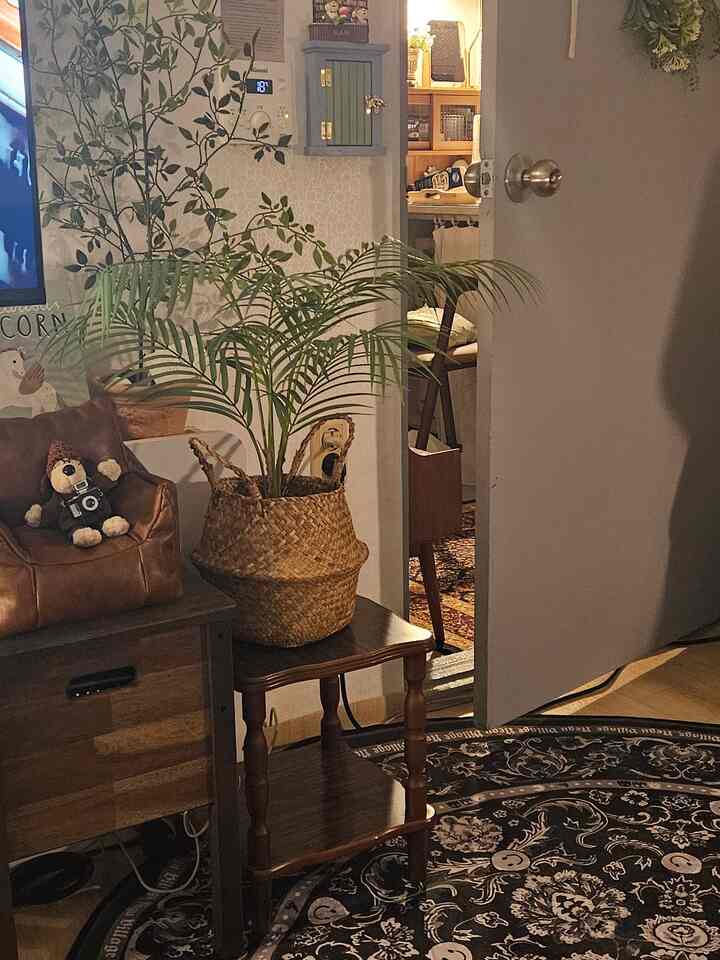 ... 🌿

#ラグおすすめ #ラグインテリア #耐久ビレッジ #neguvillage
#vintagehome #vintageinterior #vintagehomedecor
#retrointerior #ホームスタイリング #ホームインテリア
＃家の装飾＃ビンテージインテリア＃wadeview＃自宅の装飾