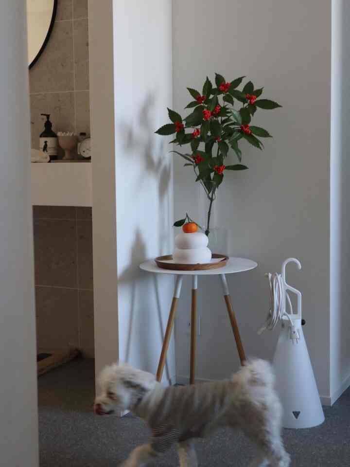 Selamat Tahun Baru 🎍
Terima kasih atas dukungan Anda yang berkelanjutan tahun ini❢
#Pintu masuk #玄関飾り #犬との暮らし