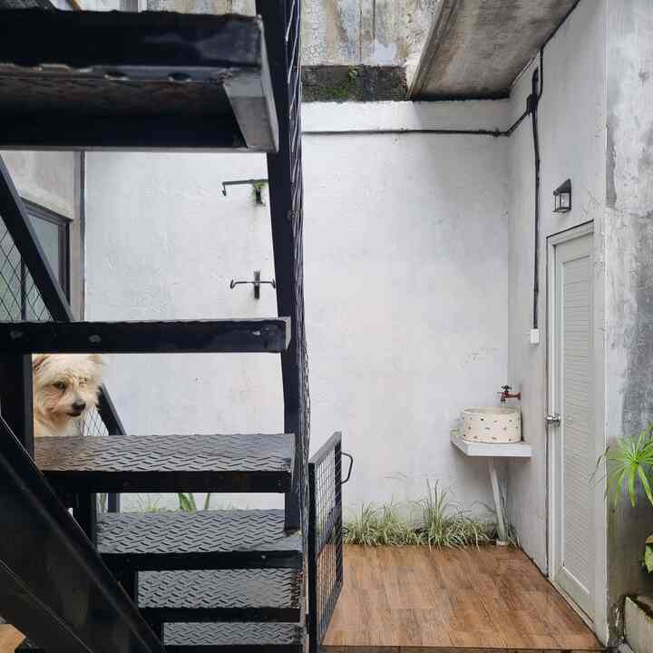 Outdoor space with white walls and wood-tone flooring, featuring metal stairs and a small dog visible beside them at the entrance area