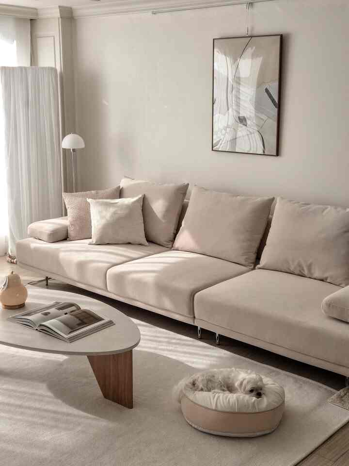 Beige-toned living room featuring a large sofa and fabric pet bed with a small dog, creating a cozy and natural atmosphere