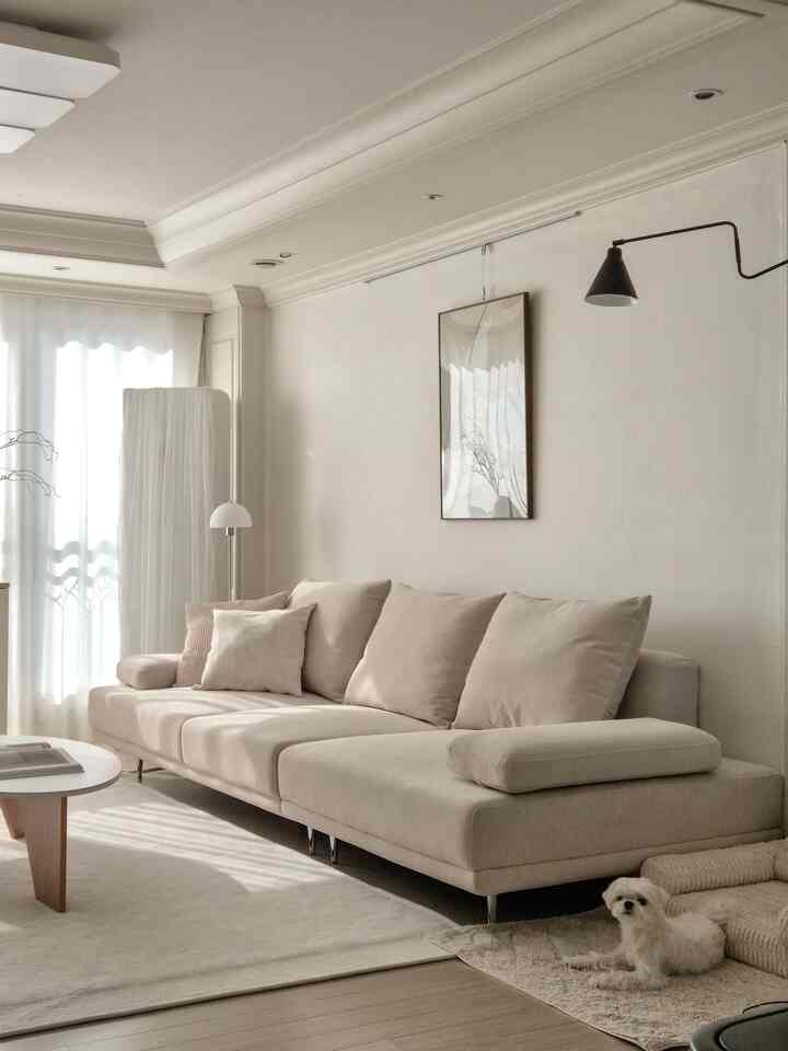 Beige and white toned living room featuring a large sofa, rug, and a small dog adding cozy charm