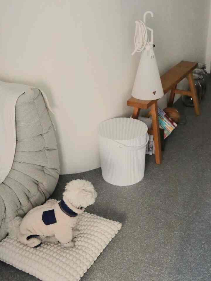 ベージュとグレーの色調のリビング、クッションの上に小さな犬が座っていて、ソファとベンチ、フロアランプが配置された落ち着いた雰囲気のインテリア